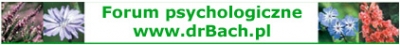 Gabinet Psychoterapii